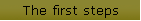 The first steps